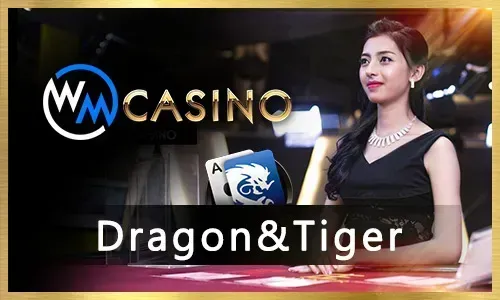 Live casino dealer with cards